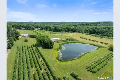 317 Bebbington Road, Ashford, CT 06278 - Photo 7