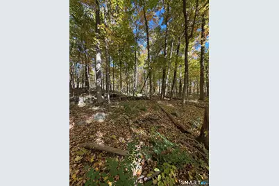 Joray Road, Sharon, CT 06069 - Photo 5