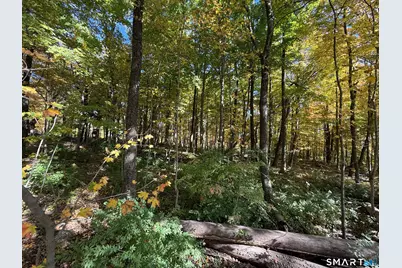 Joray Road, Sharon, CT 06069 - Photo 3