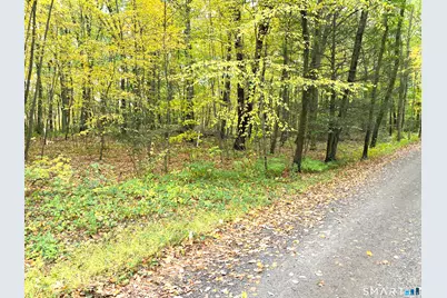 Painter Hill Road, Roxbury, CT 06783 - Photo 3