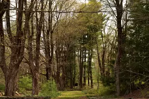 139 Grantville Rd, Winchester, CT 06098 - Photo 29