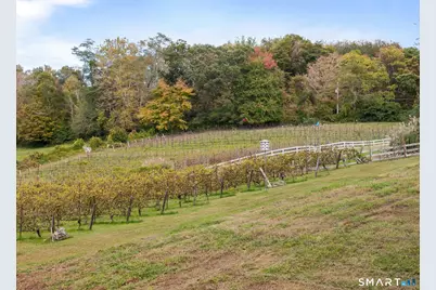 5 Elys Ferry Road, Lyme, CT 06371 - Photo 5