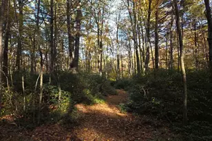 50 Burlingame Rd, Killingly, CT 06239 - Photo 1