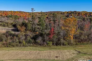 202 Sharon Valley Rd, Sharon, CT 06069 - Photo 19