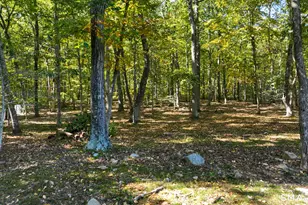 11 Syleo Ln, Salem, CT 06420 - Photo 37