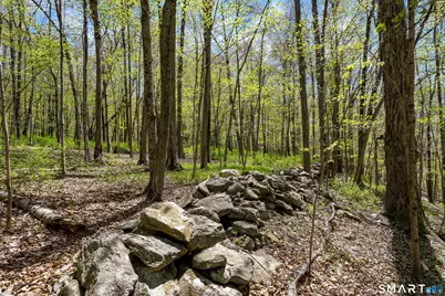 0 Black Rock Turnpike, Redding, CT 06896 - Photo 19