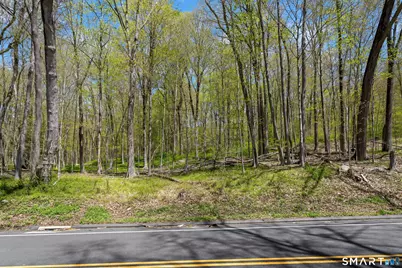 0 Black Rock Turnpike, Redding, CT 06896 - Photo 15