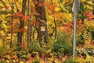 0 Cherry Swamp Rd, East Haddam, CT 06469 - Photo 1