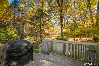 33 The Meadows #33, Enfield, CT 06082 - Photo 31