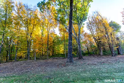 137 Davenport Road, Roxbury, CT 06783 - Photo 5