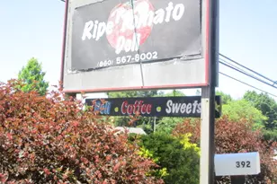 392 Torrington Rd, Litchfield, CT 06759 - Photo 1