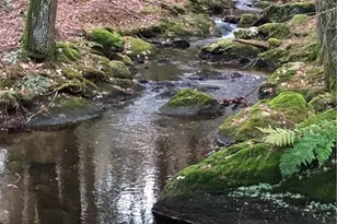 65 Meyers Rd, Plymouth, CT 06786 - Photo 1