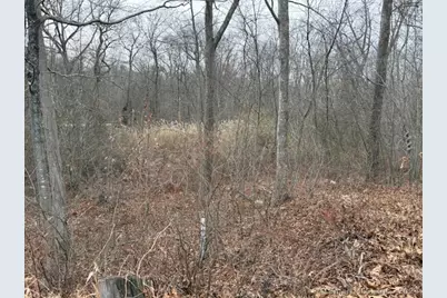 Hog Hill Road, East Hampton, CT 06424 - Photo 1