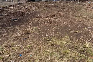 25 Violet St, Waterbury, CT 06704 - Photo 1