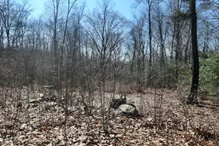 17B-3 Gawron Rd, Thompson, CT 06277 - Photo 1