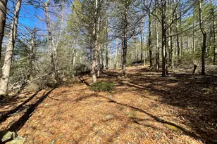 50 Pine Rd, Colebrook, CT 06021 - Photo 1
