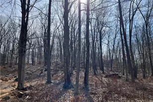 51 Larkey Rd, Oxford, CT 06478 - Photo 1