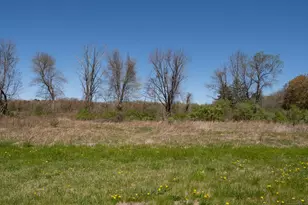 395 Grant Hill (Mill Race Drive) Lot #21 Rd, Coventry, CT 06238 - Photo 1