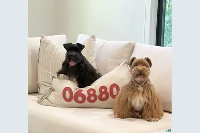 26 Hitchcock Road, Westport, CT 06880 - Photo 1