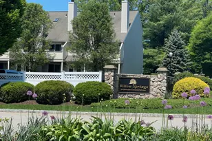 307 Willow Springs, New Milford, CT 06776 - Photo 1