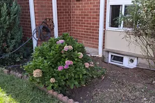 237 Centerbrook Rd, Hamden, CT 06518 - Photo 1