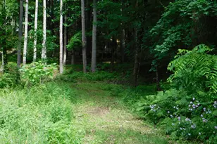 215 Taconic Rd, Salisbury, CT 06068 - Photo 1