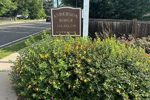 135 Courtland Ave, Stamford, CT 06902 - Photo 1