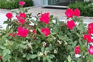 1 Strawberry Hill Ave, Stamford, CT 06902 - Photo 1