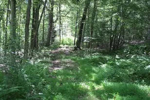 42 Lake Rd, Bozrah, CT 06334 - Photo 1