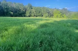 96 Westford Rd, Eastford, CT 06242 - Photo 1