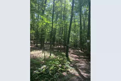 Lot 2 Chalybes Road West, Roxbury, CT 06783 - Photo 1