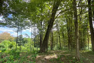 6 Kennedy Dr, Litchfield, CT 06778 - Photo 1