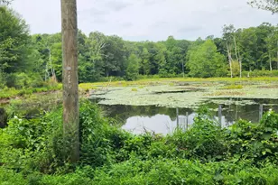 Bogg Ln, Lebanon, CT 06249 - Photo 1