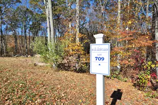 709 Fox Hopyard Rd, East Haddam, CT 06423 - Photo 1