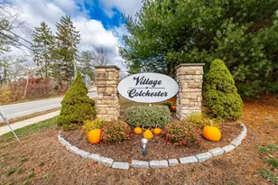 6 Village Ct, Colchester, CT 06415 - Photo 1