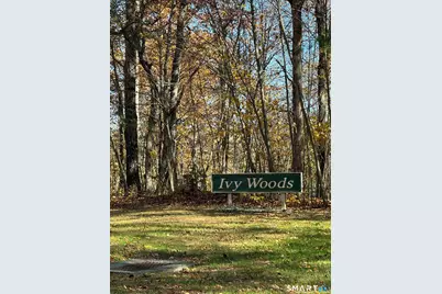 87 Buff Cap Road, Tolland, CT 06084 - Photo 1