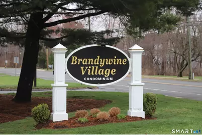 61 Brandywine Lane #61, Suffield, CT 06078 - Photo 1