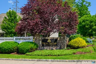 274 Willow Springs, New Milford, CT 06776 - Photo 1