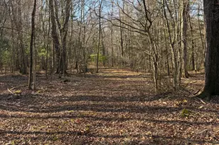 Willington Hill Rd, Willington, CT 06279 - Photo 1