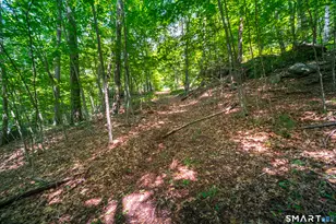 61 Silver Springs Dr, Haddam, CT 06441 - Photo 1