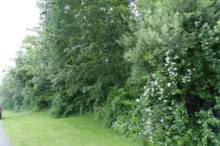 7 Poppys Ct, Knowlton Township, NJ 07832 - Photo 1