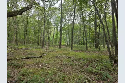75 Far View Rd, Hope Township, NJ 07838 - Photo 1