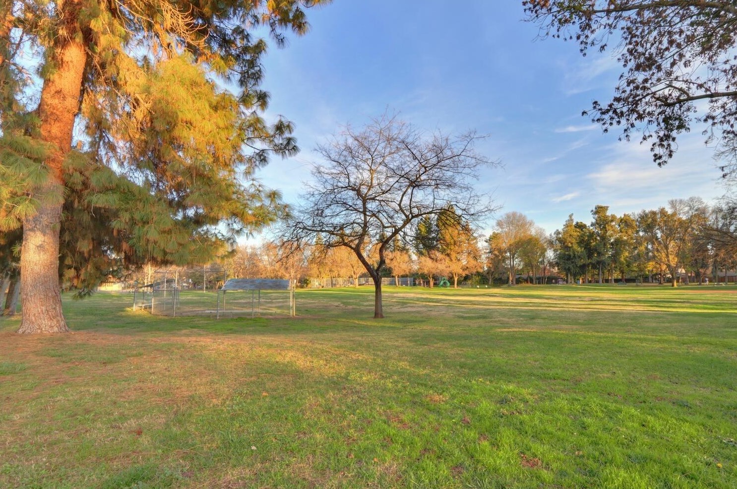 1324 Alder Pl, Davis CA  95618-1439 exterior