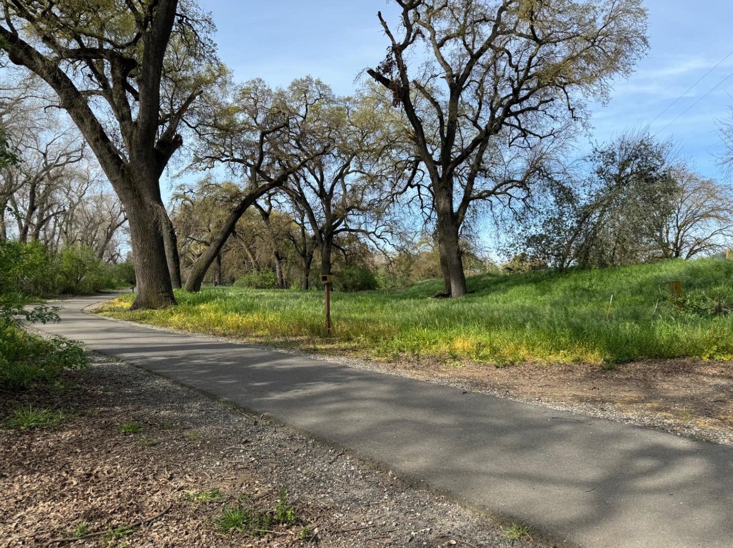 7011 Prestwick Dr, Riverbank CA  95367-3320 exterior