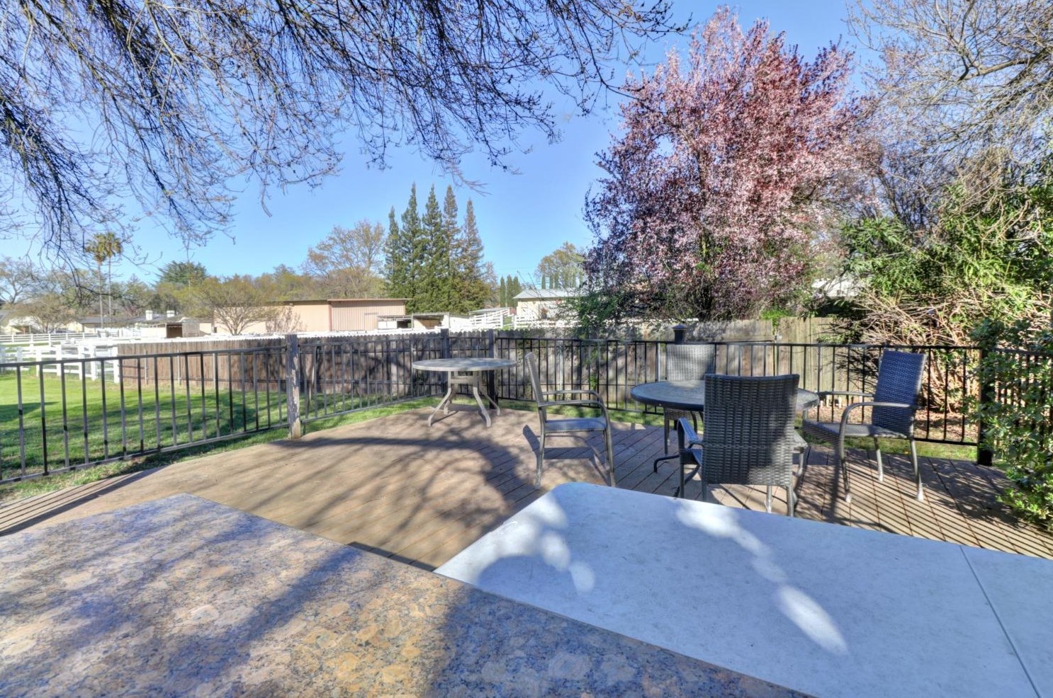 8677 Elm Ave, Citrus Heights CA  95662-2613 exterior