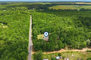 4526 Bryant Bridge Cutoff Rd, Holt, FL 32564 - Photo 51