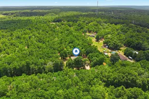 4526 Bryant Bridge Cutoff Rd, Holt, FL 32564 - Photo 49