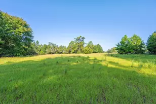 512 Hickory Tree Ln, Crestview, FL 32539 - Photo 19