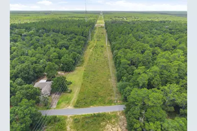 3 Acres Bryant Bridge Cutoff Road, Holt, FL 32564 - Photo 5
