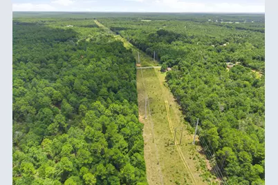 3 Acres Bryant Bridge Cutoff Road, Holt, FL 32564 - Photo 7